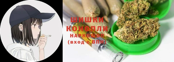 твердый Бородино